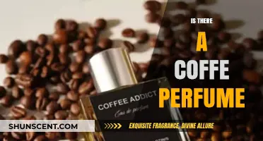 Exploring the Aroma: Does Coffee-Scented Perfume Really Exist?