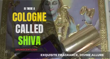 Shiva: The Alluring Scent of a Godlike Cologne