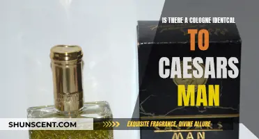 Finding Caesar's Man Cologne: Any Identical Fragrances?