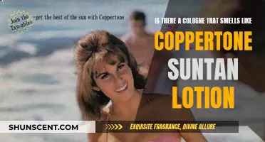 Summer Scents: Coppertone Cologne for Men