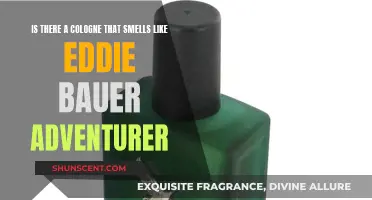 The Alluring Scent of Adventure: Eddie Bauer's Fragrance