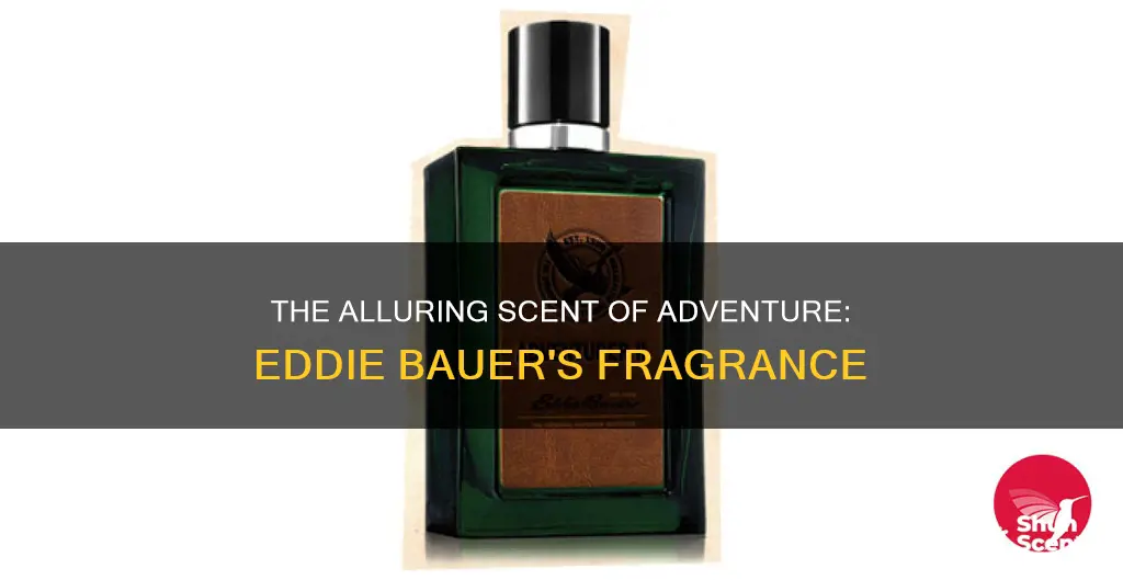 is there a cologne that smells like eddie bauer adventurer