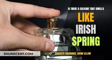 Discovering Irish Spring's Fresh Scent in a Cologne