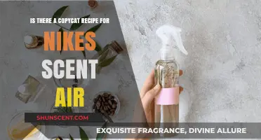 Unveiling the Secret: Recreating Nike's Scent Air at Home