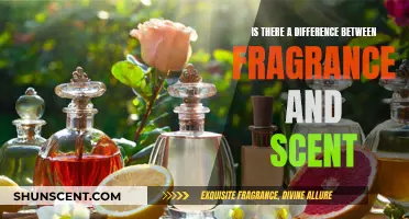 Fragrance vs. Scent: Unveiling the Subtle Differences