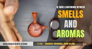 What's the Difference Between Scents and Aromas?