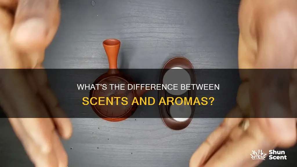 is there a difference between smells and aromas