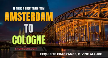 Travel Amsterdam to Cologne: Direct Train Options