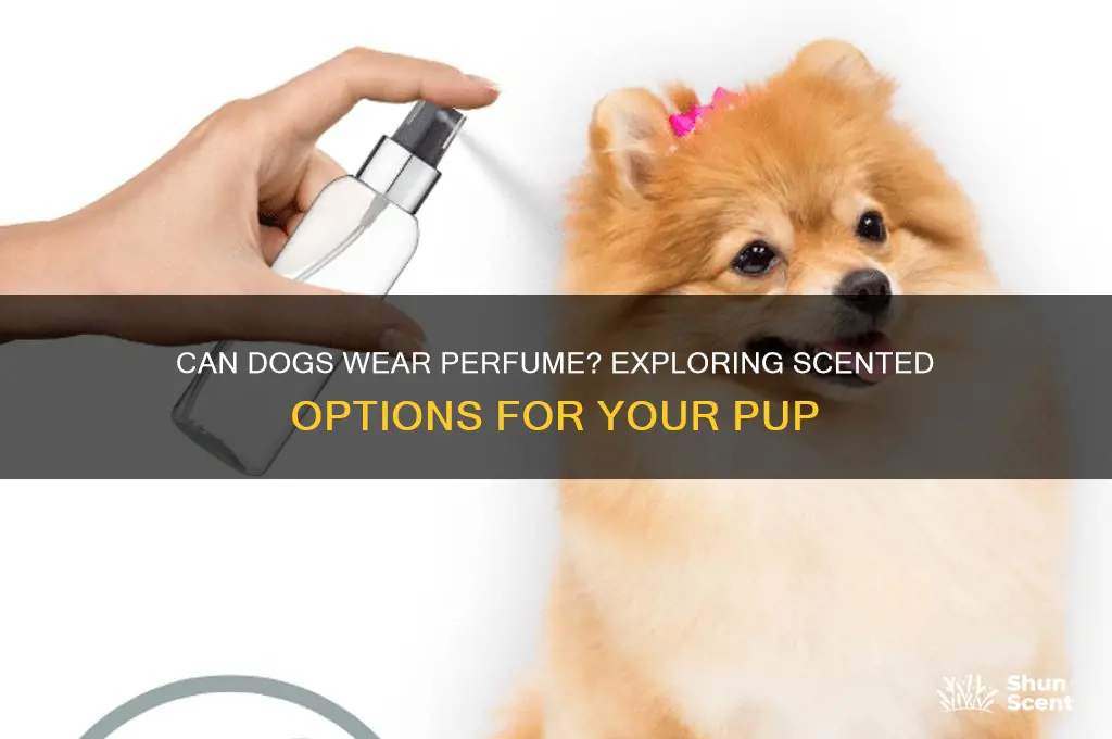 is there a dog perfume