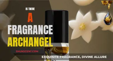 The Scent of Angels: Exploring the Fragrance of Archangel