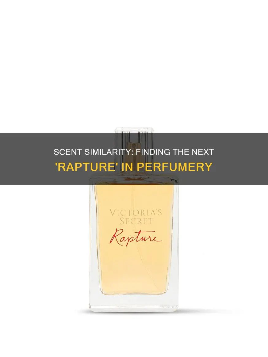 is there a fragrance similar to victoria secrets rapture