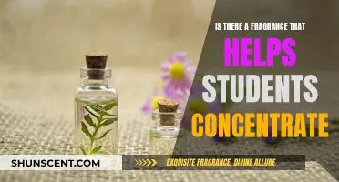 Scented Secrets: Can Fragrance Enhance Focus for Students?