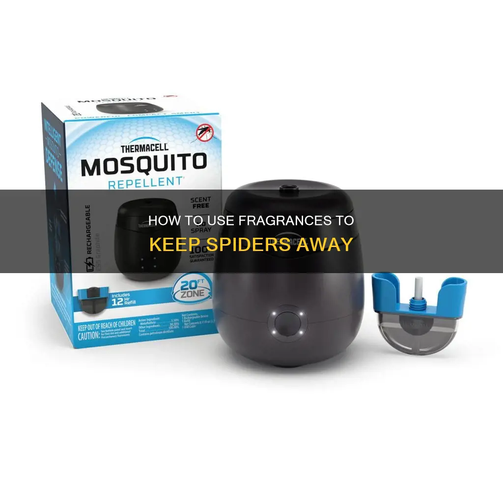 is there a fragrance that repels spiders