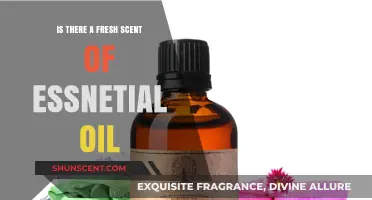 Unveiling the Freshness: Essential Oils' Aromatic Essence Explored