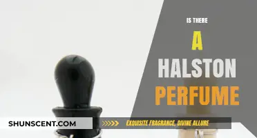 Discovering Halston: Does the Iconic Fashion Brand Offer a Signature Perfume?