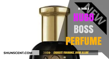 Exploring Hugo Boss: Does the Brand Offer a Signature Perfume?