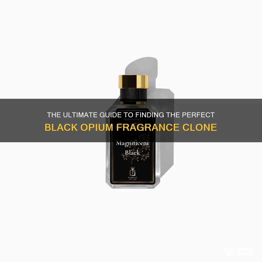 is there a imitatin fragrance for black opium