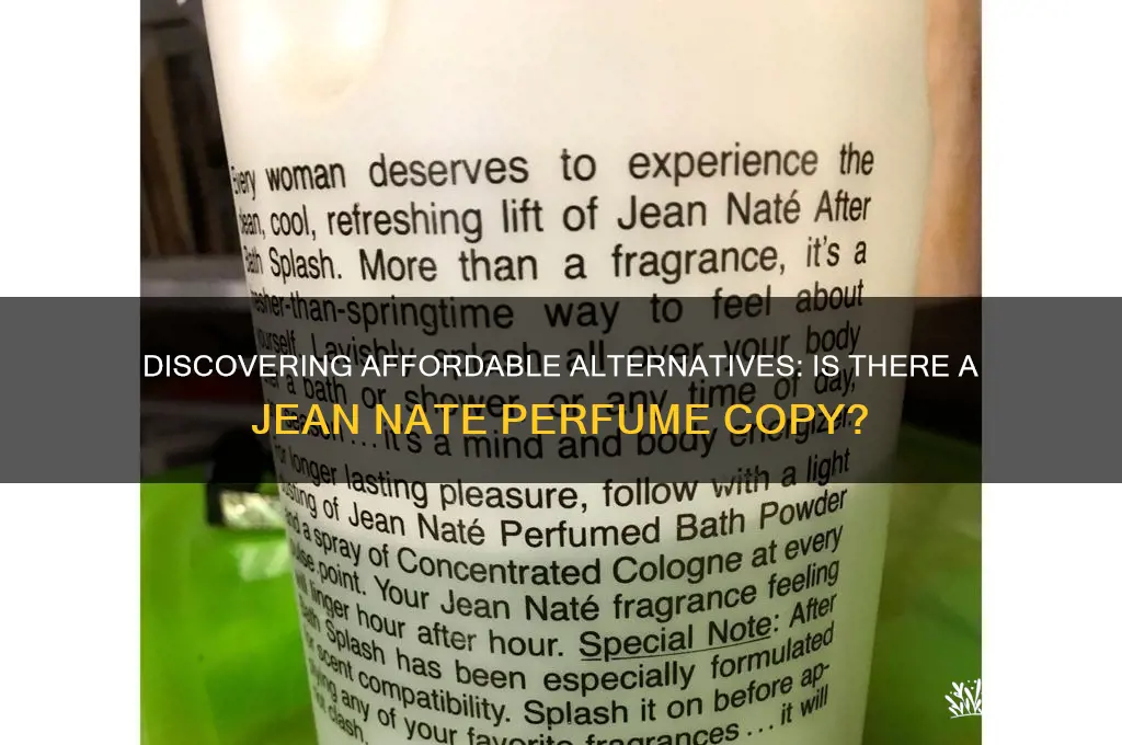 is there a jean nate perfume copy