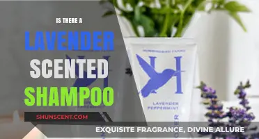 Exploring Lavender: The Quest for the Perfect Scented Shampoo