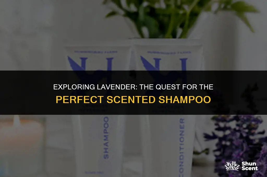 is there a lavender scented shampoo