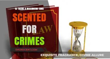Exploring the Statute of Limitations: Maximum Time for Crimes?