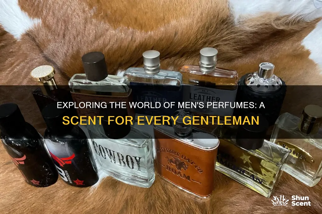 is there a men