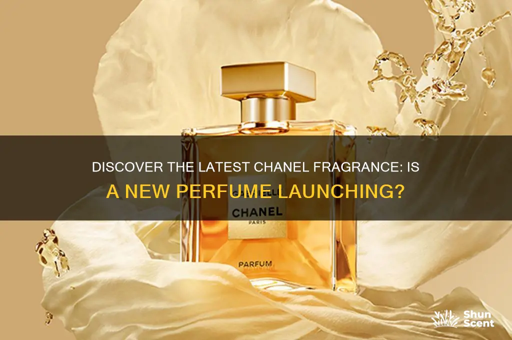 is there a new chanel perfume