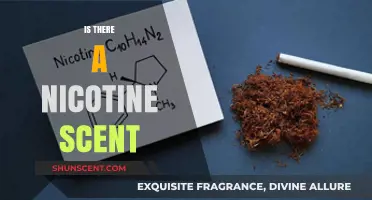 Exploring the Elusive Nicotine Scent: Fact or Fiction?