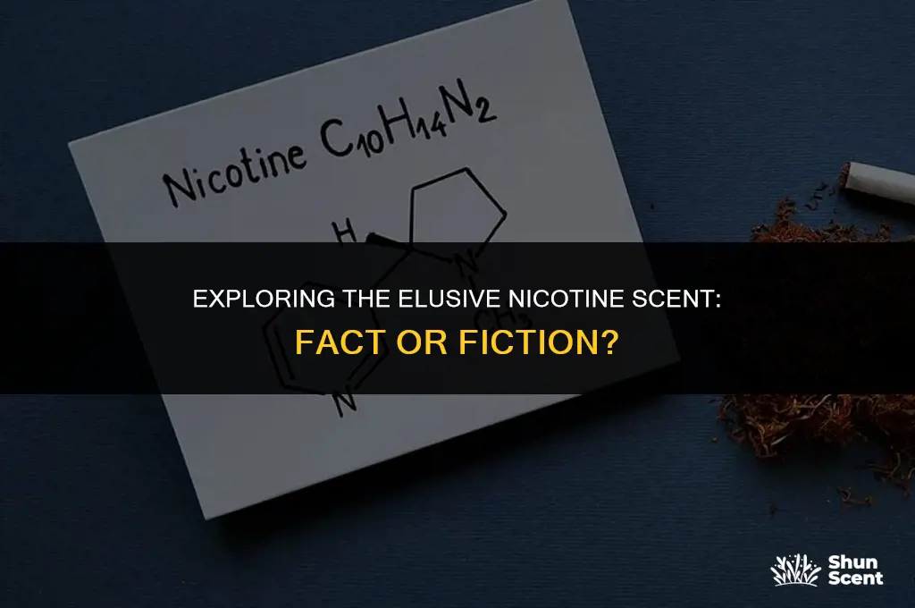 is there a nicotine scent