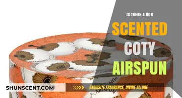Exploring Options: Non-Scented Coty Airspun Alternatives Revealed