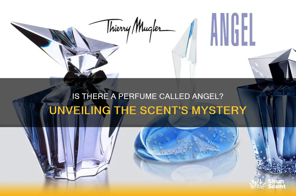 is there a perfume called angel