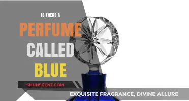 Exploring the Scent: Does a Perfume Named Blue Exist?