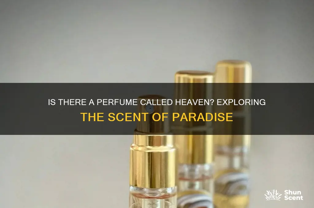 is there a perfume called heaven