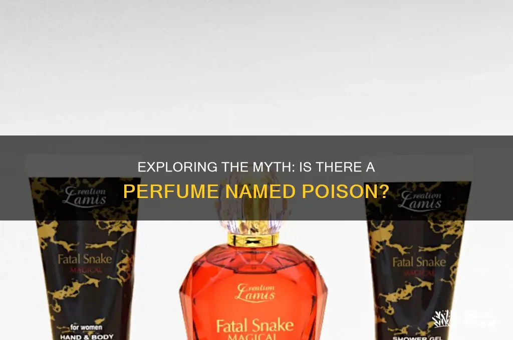 is there a perfume called poison