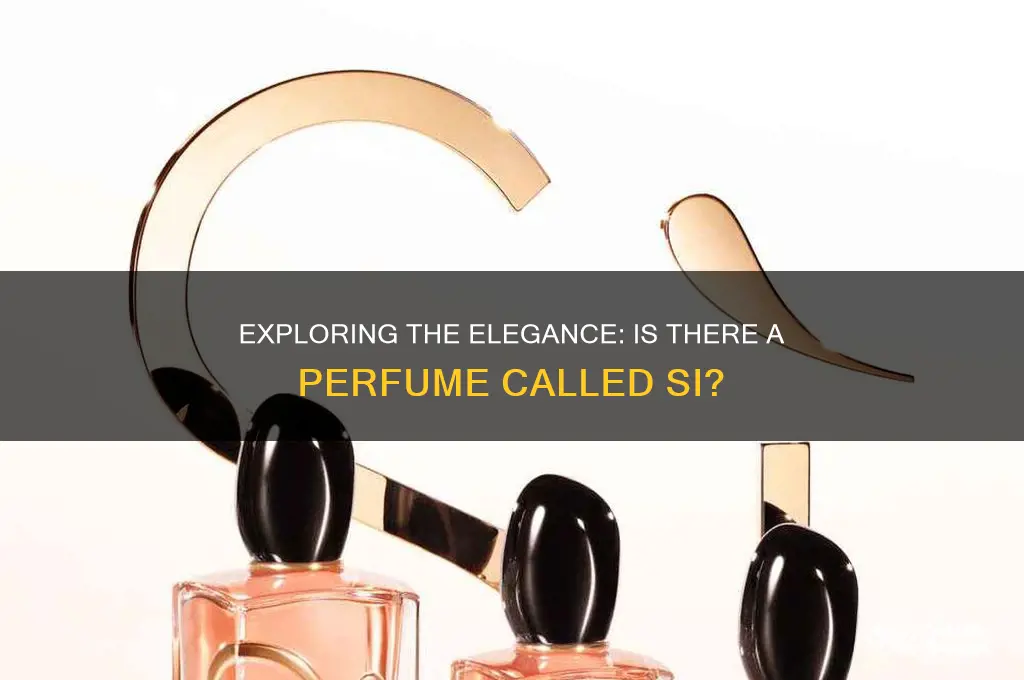 is there a perfume called si