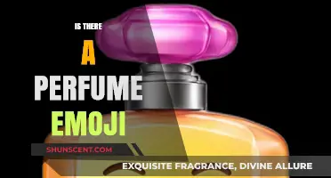 Does a Perfume Emoji Exist? Exploring Fragrance in Digital Communication