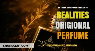 Discover Scents Like Realities Original Perfume: Top Similar Fragrances