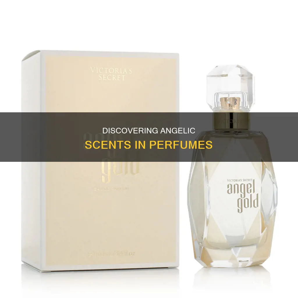 is there a perfume that smells like angel