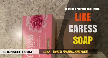 Caress Soap: Can You Bottle the Scent?