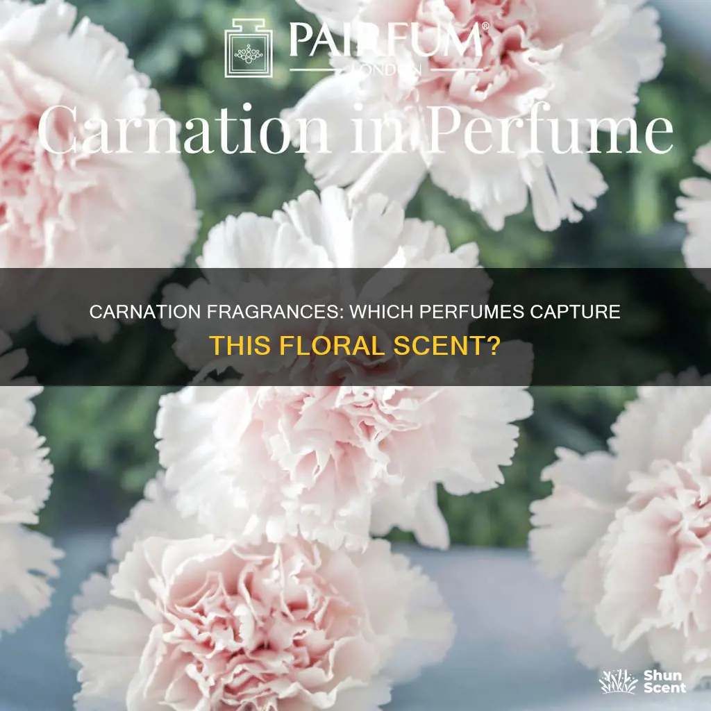 is there a perfume that smells like carnations