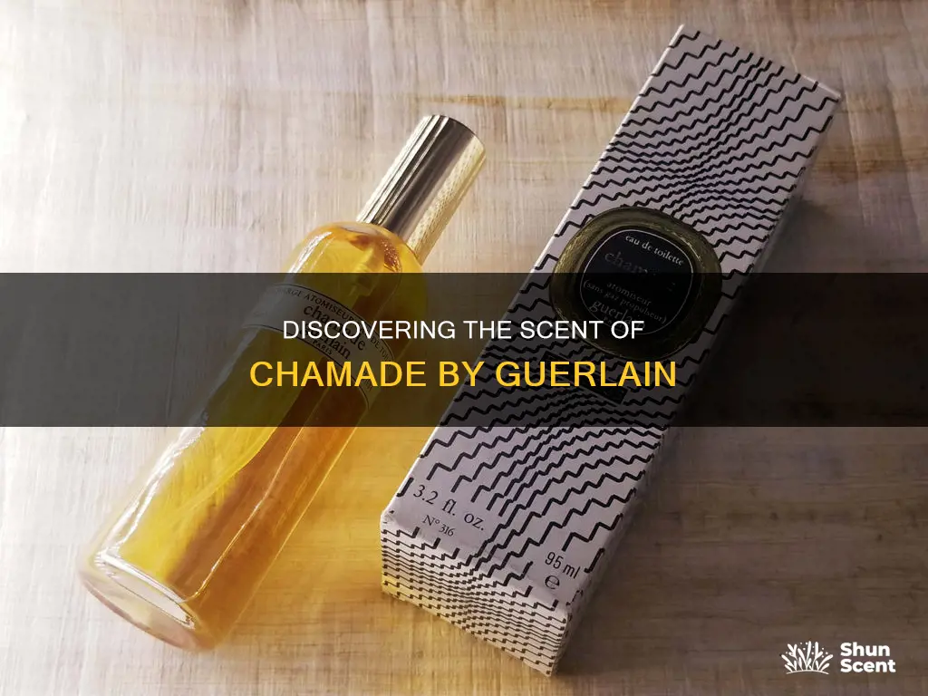 is there a perfume that smells like chamade by guerlain