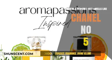 Chanel No. 5: Are There Similar Scents?