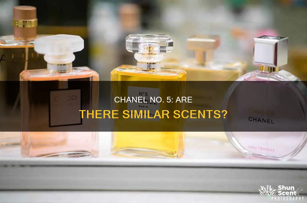 is there a perfume that smells like chanel no 5