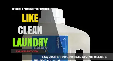 Fresh Laundry Scents: Finding Perfumes that Smell Like Clean Linens