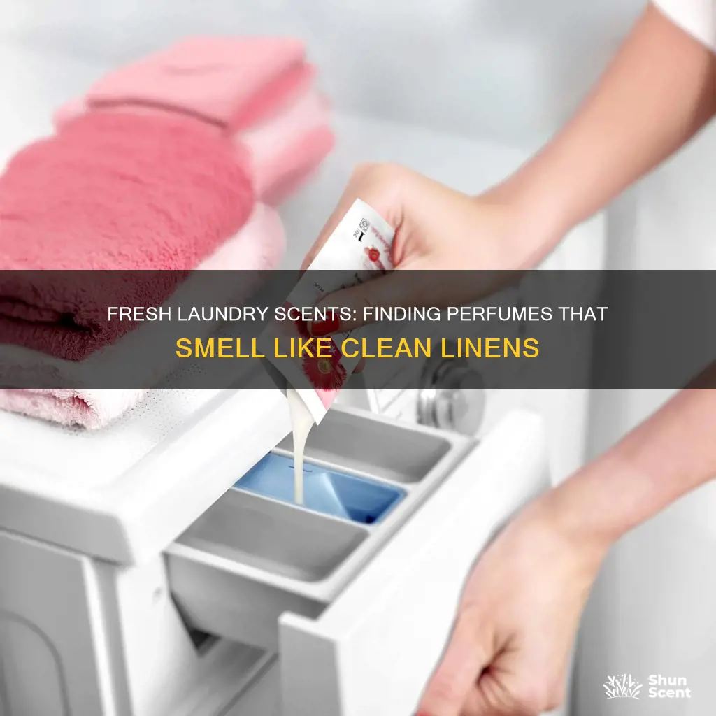 is there a perfume that smells like clean laundry