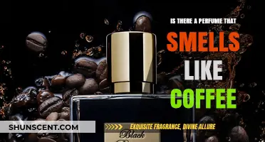 Explore Coffee-Scented Perfumes for an Energizing Aroma
