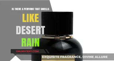 Discovering the Scent of Desert Rain in Perfumes