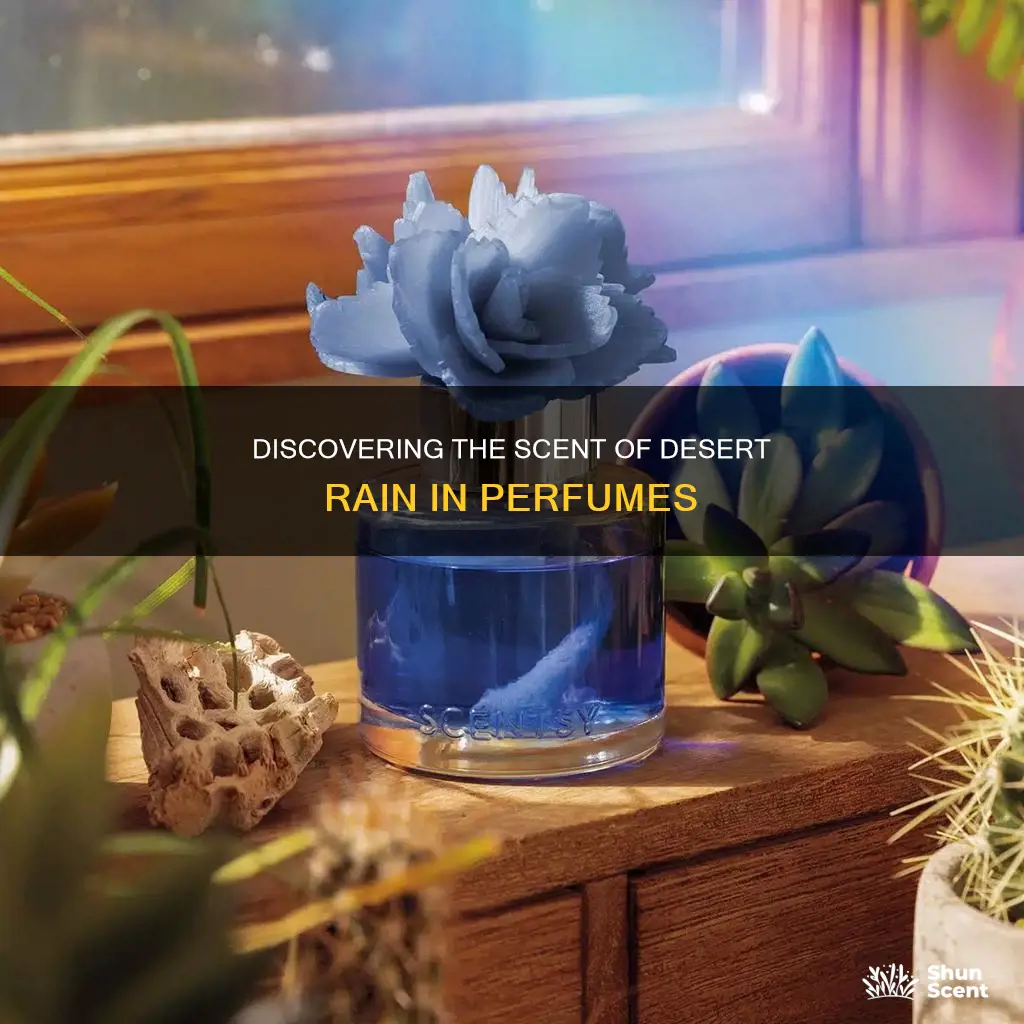 is there a perfume that smells like desert rain