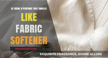 Fabric Softener Fragrance: Can You Wear It?