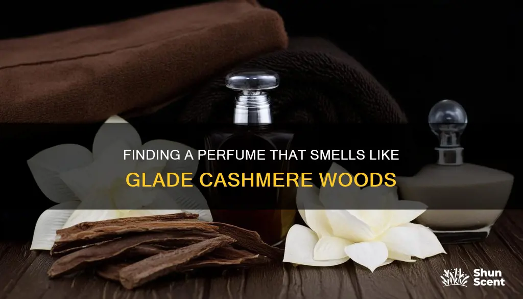 is there a perfume that smells like glade cashmere woods